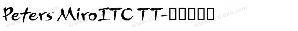 Peters MiroITC TT字体转换